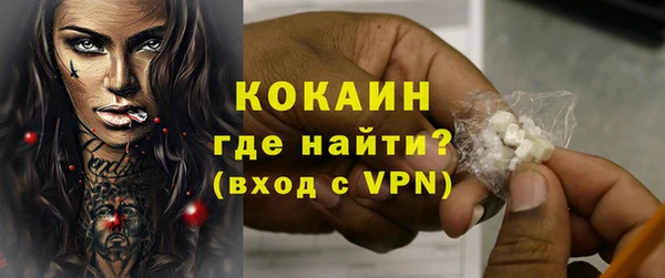 ПСИЛОЦИБИНОВЫЕ ГРИБЫ Вяземский
