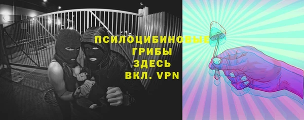 героин Горняк