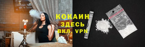 ПСИЛОЦИБИНОВЫЕ ГРИБЫ Вяземский