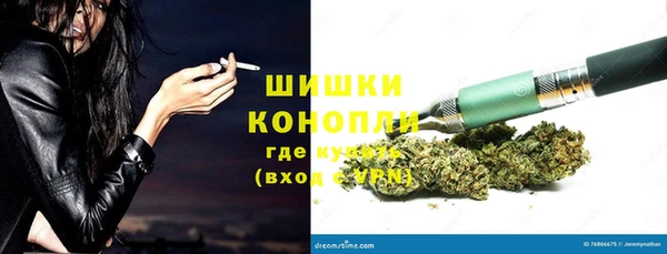 ПСИЛОЦИБИНОВЫЕ ГРИБЫ Вяземский