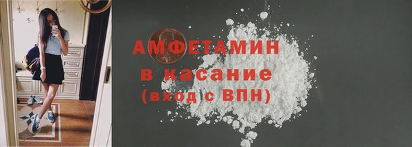 ПСИЛОЦИБИНОВЫЕ ГРИБЫ Вяземский