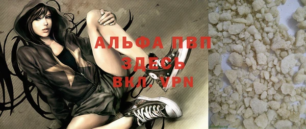 ПСИЛОЦИБИНОВЫЕ ГРИБЫ Вяземский