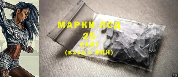 ПСИЛОЦИБИНОВЫЕ ГРИБЫ Вяземский