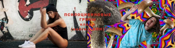 амф Горно-Алтайск