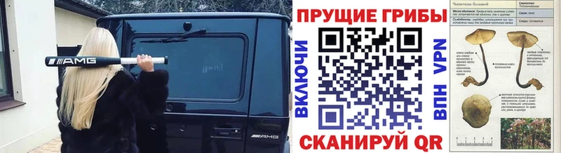 Псилоцибиновые грибы прущие грибы  где купить наркоту  Брянск 